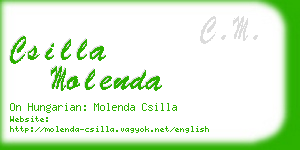 csilla molenda business card